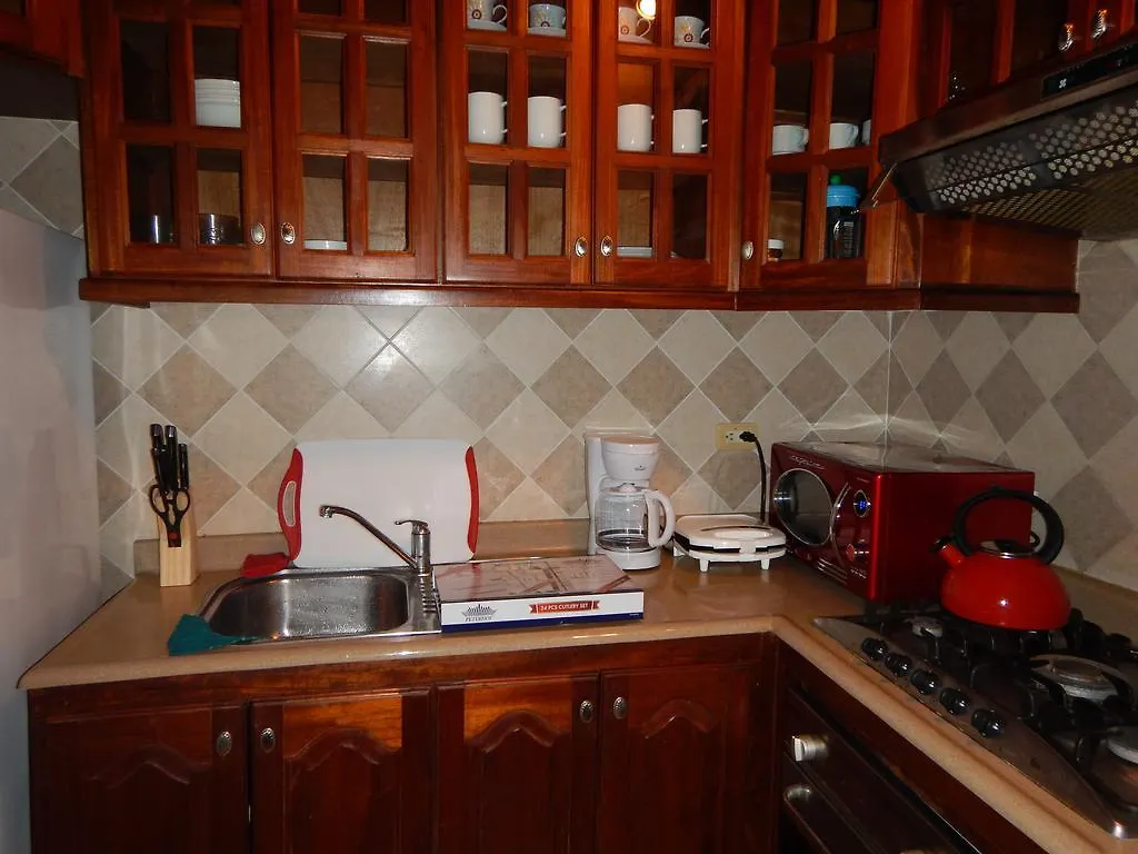 Vacation Home Villa Lion Punta Cana